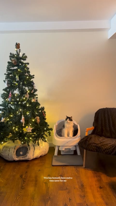 Instagram post by @crampcats for PetPivot. Caption reads: [...] Christmas wish came true with the @petpivot....