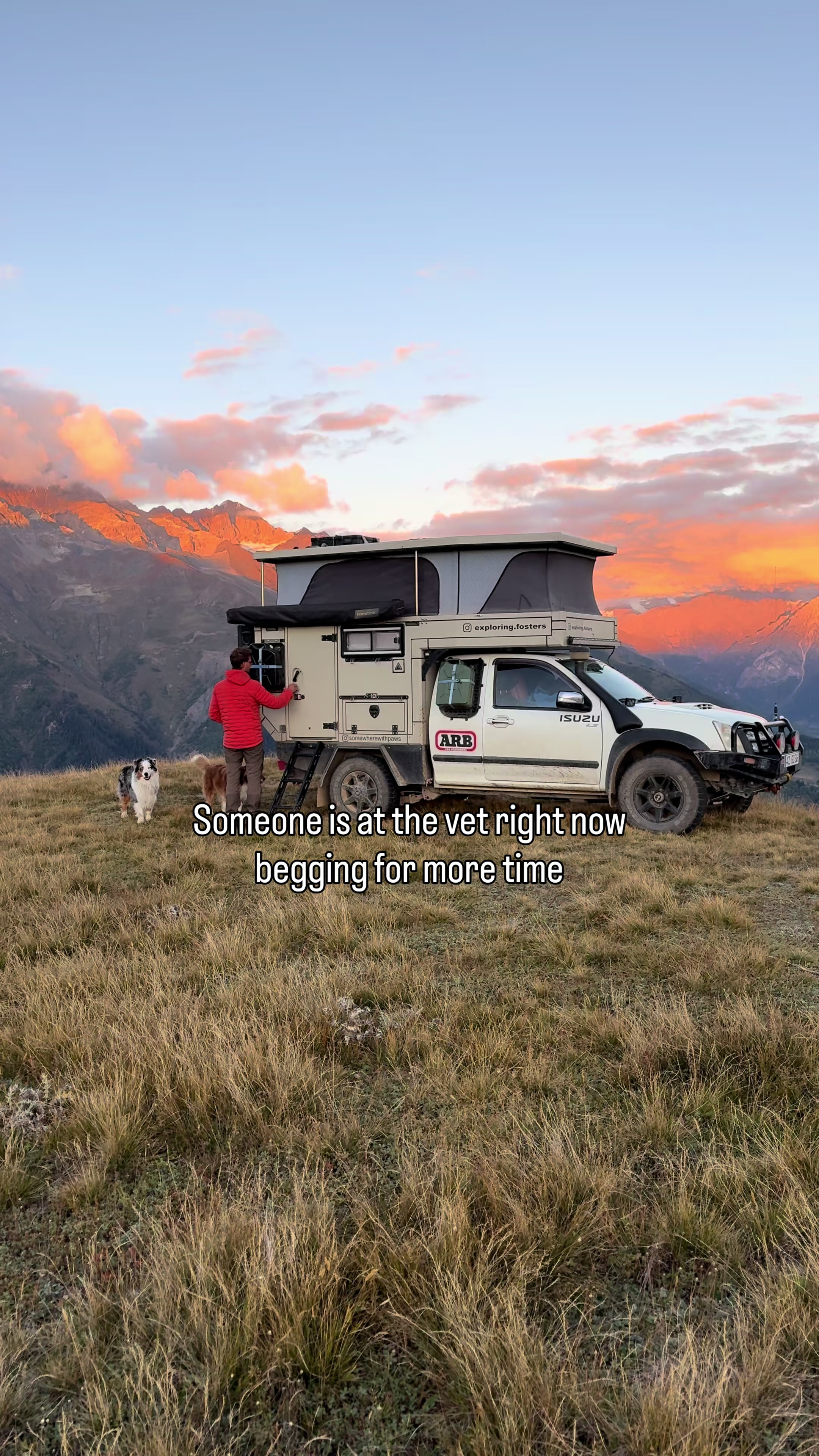 TikTok post by @swiss.paws for RevolutionRace. Caption reads: Do it ☝🏻@RevolutionRace #doglove #lifewithdogs .