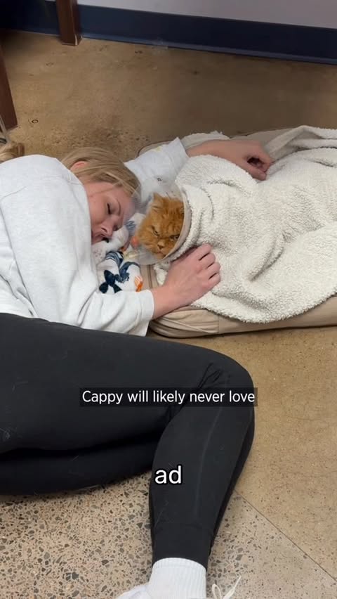 Instagram post by @cappybears for Zoetis Petcare. Caption reads: #ad Cappy can be very spicy at the vet. He is a....