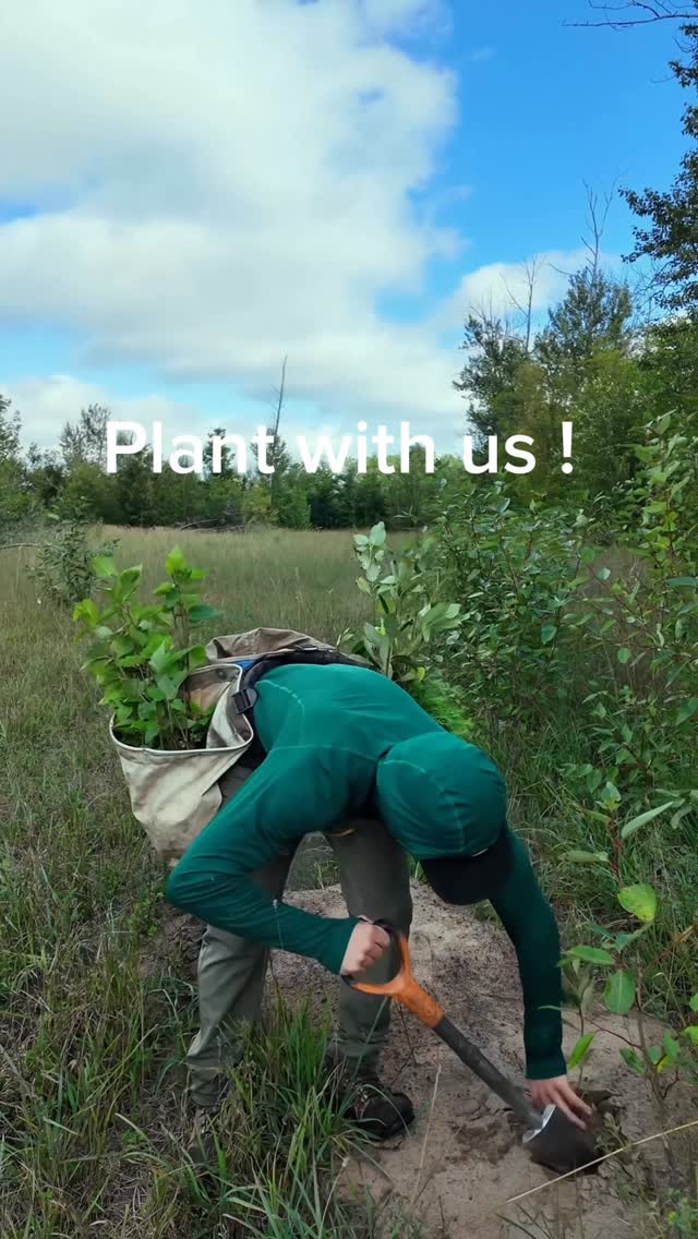 Instagram post by @antomosplant for TELUS. Caption reads: Let's grow a greener future together! 🌲 @telus....