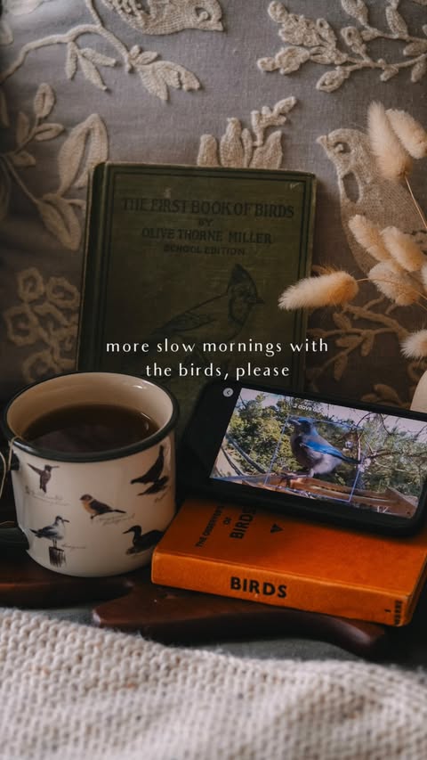 Instagram post by @cosyacademia for Birdfy. Caption reads: [...] to identify so many birds with my new....