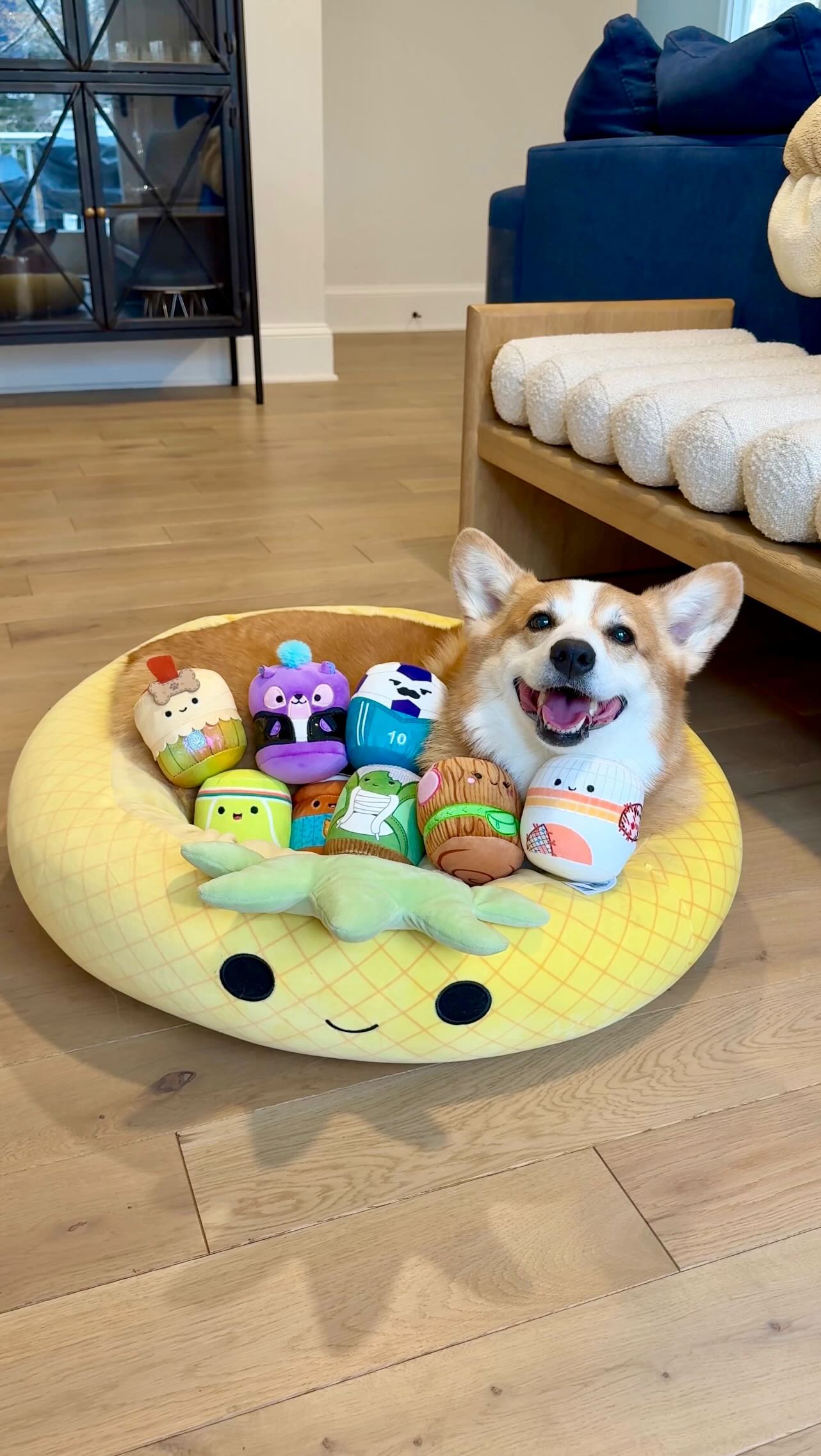 Instagram post by @hammyandolivia for PetSmart. Caption reads: He only packs the essentials!
 
Can you believe....