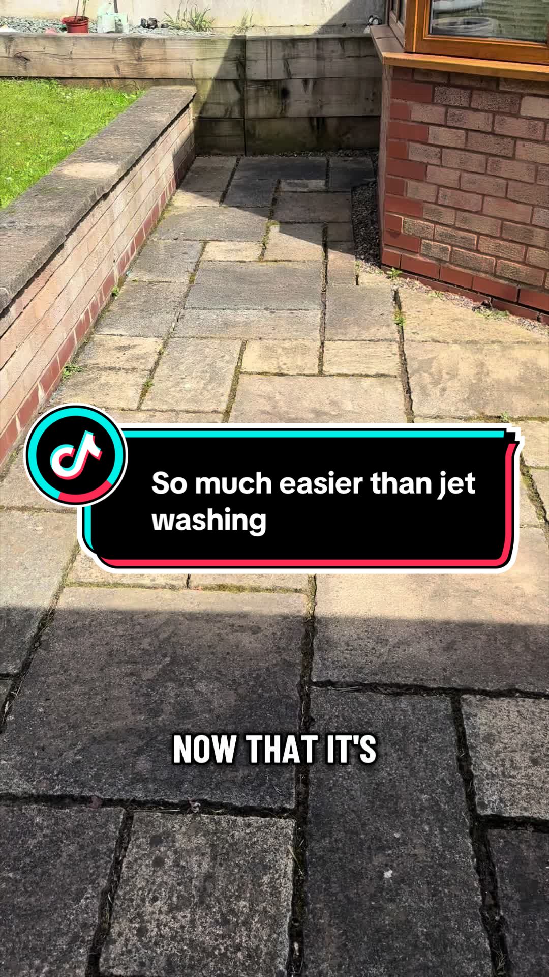 TikTok post by @chelseythompson91 for Monty Miracle. Caption reads: [...] effort with maximum results 🧼 @Monty....