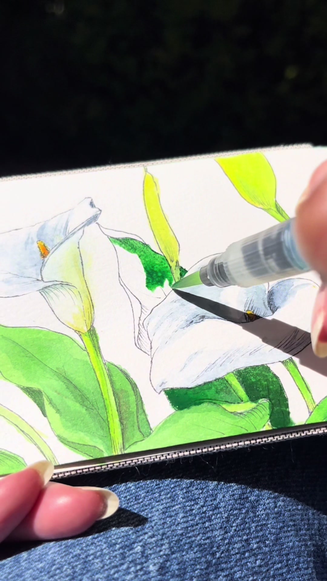 TikTok post by @illustrationsbymoni for FuntoArt. Caption reads: Spotted some pretty calla lilies and had to paint....