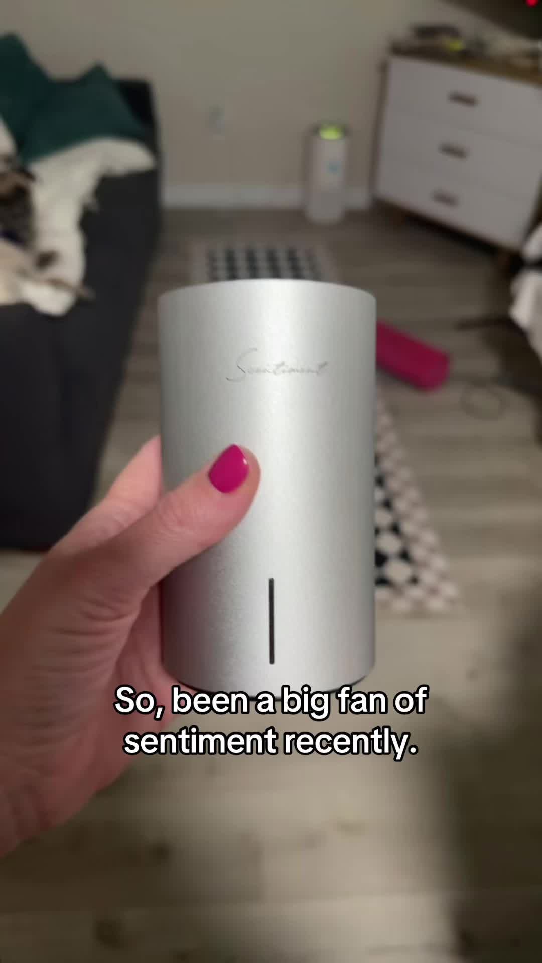 TikTok post by @chelsealeerock for Scentiment. Caption reads: Huge fan of this product! @Scentiment smells....
