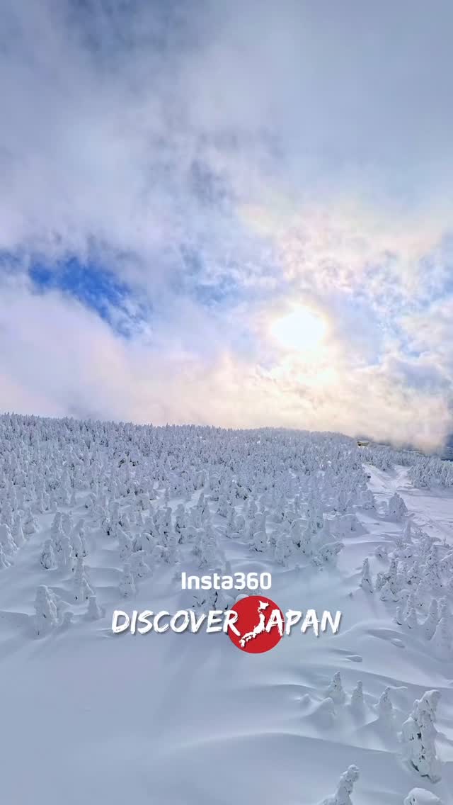 Instagram post by @tatsuya_film for Insta360. Caption reads: Insta360と巡る日本東北編🇯🇵 今回 @insta360_jp [...].