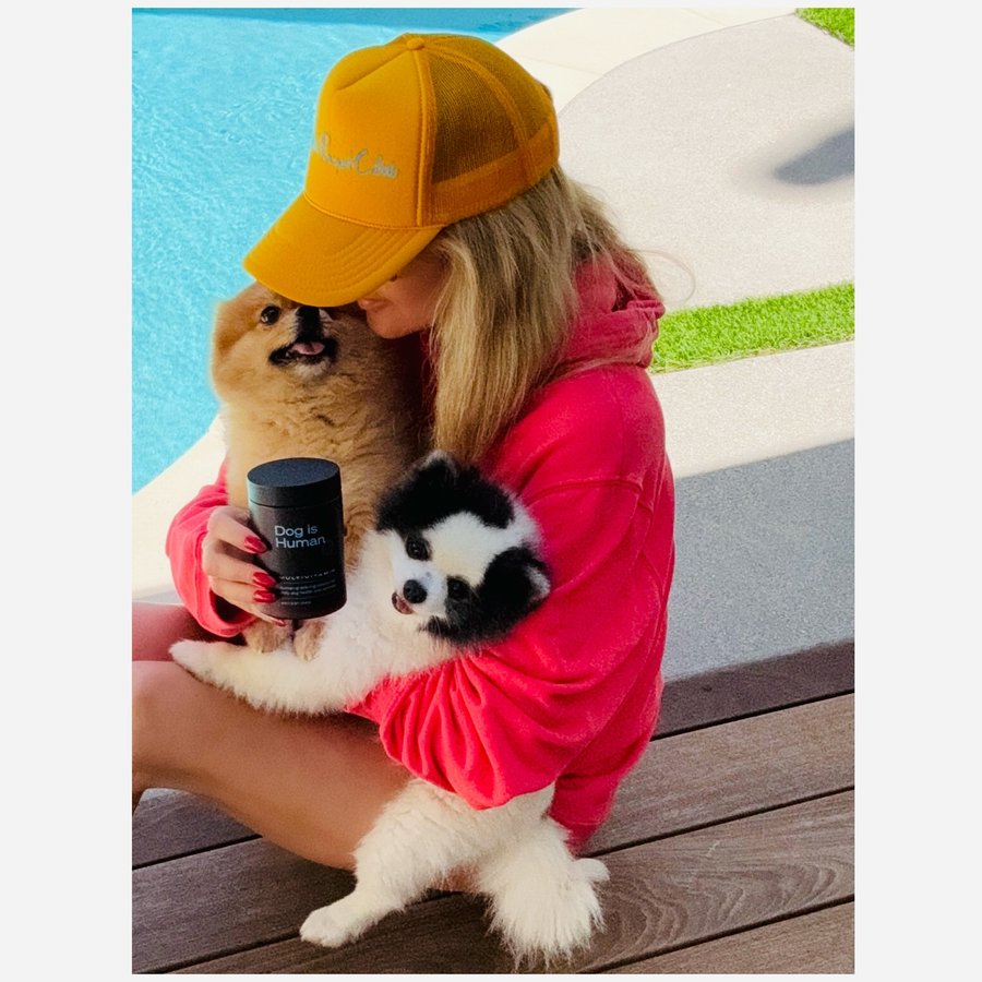 Instagram post by @verinamarcel for Dog is Human. Caption reads: 🐾Dog is Human🐾Lili&Billi @liliandbilli deserve....