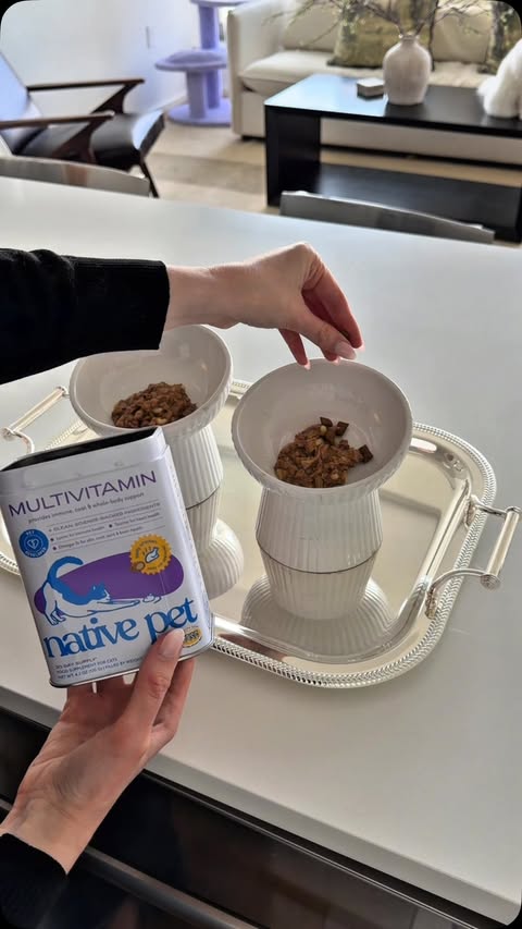 Instagram post by @cleothecitykitty for Native Pet. Caption reads: [...] LOVE their new multivitamin from @nativepet....