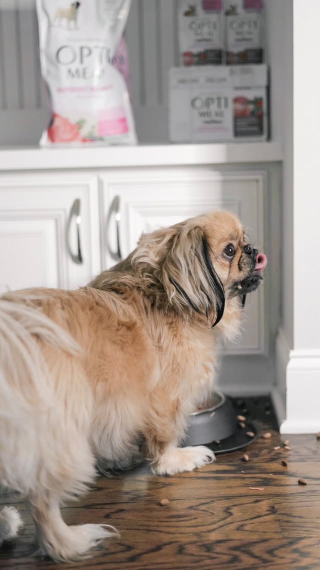 Instagram post by @withsparkle_ for Optimeal. Caption reads: [...] 𝐣𝐨𝐲, Hagee savors every bite of his....