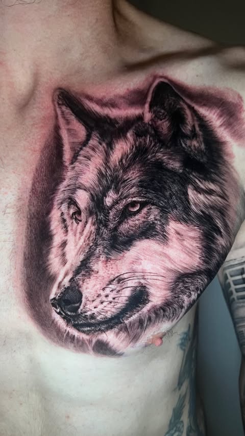 Instagram post by @perciastattoo for EZ Tattoo Supply. Caption reads: ✖️WOLF✖️ 📍 @davincitattooatelier Sponsor by....