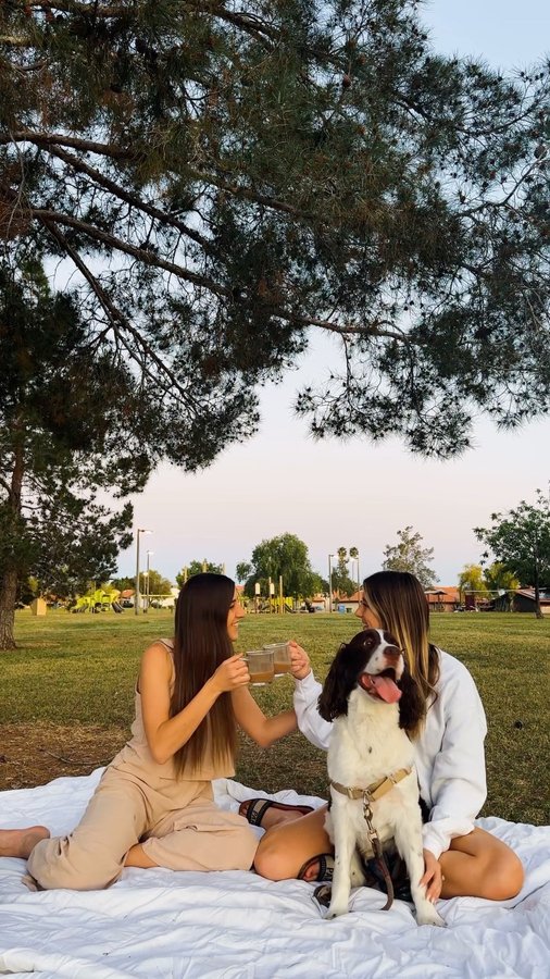 Instagram post by @kayliericks12 for Tazo. Caption reads: Tea time 🍵 @tazo has become a staple for our park....