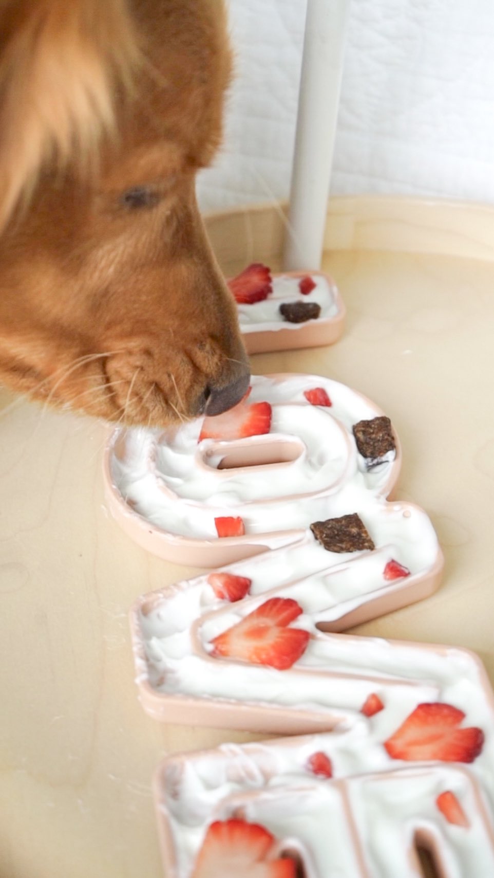 Instagram post by @nelliegoldengirl for Lambwolf. Caption reads: [...] the LOVE 💌

We’ve partnered up with....