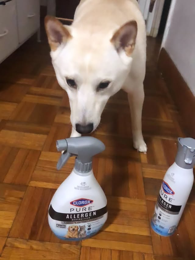 Instagram post by @yessy_reviews for Clorox. Caption reads: This Clorox pet neutralizer is perfect for pet....