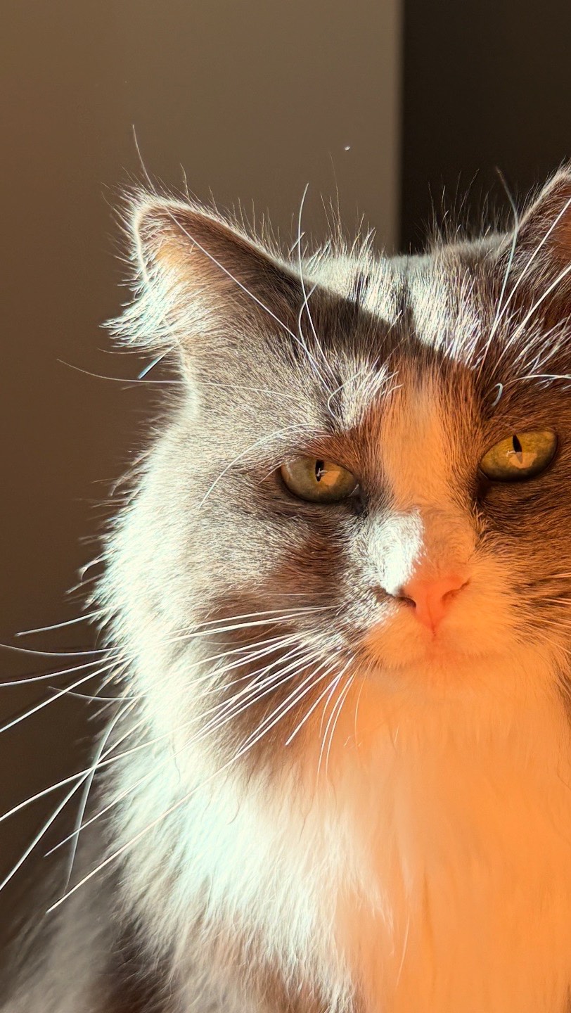 Instagram post by @cindydoinstuff for BookoftheMonth. Caption reads: #ad @bookofthemonth
This month’s Book of the Month....