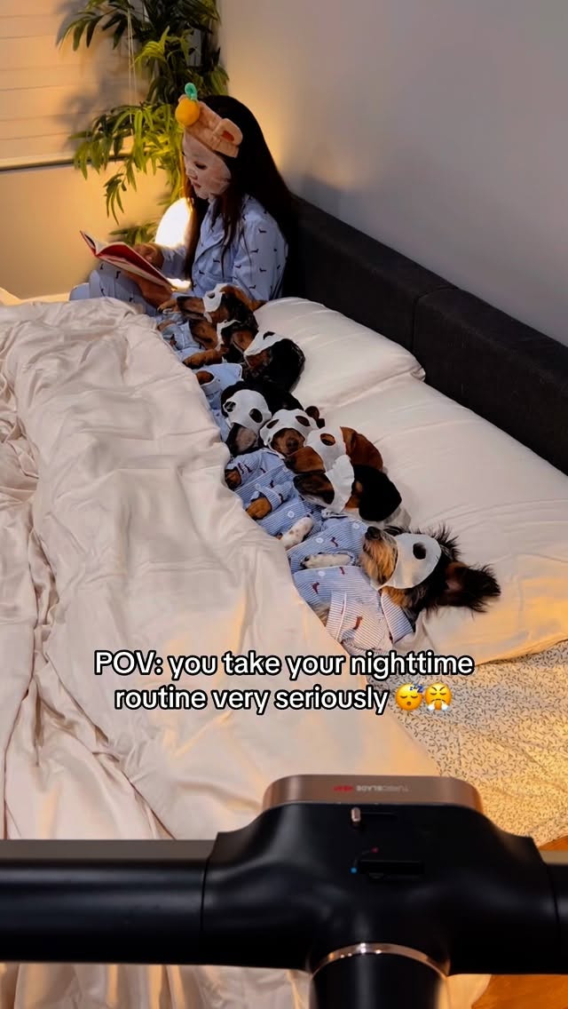 Instagram post by @yunabugs for Shark Home. Caption reads: Getting the 9 weens ready for bed is serious....