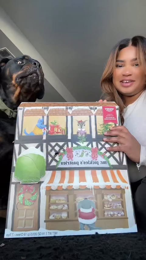 Instagram post by @touriholmes for Petco. Caption reads: @Petco such a fun way to celebrate the days....