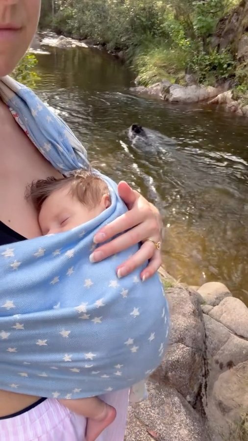 Instagram post by @loveludie for Baby Tula. Caption reads: [...] river walks in nature. Thanks to the Baby....