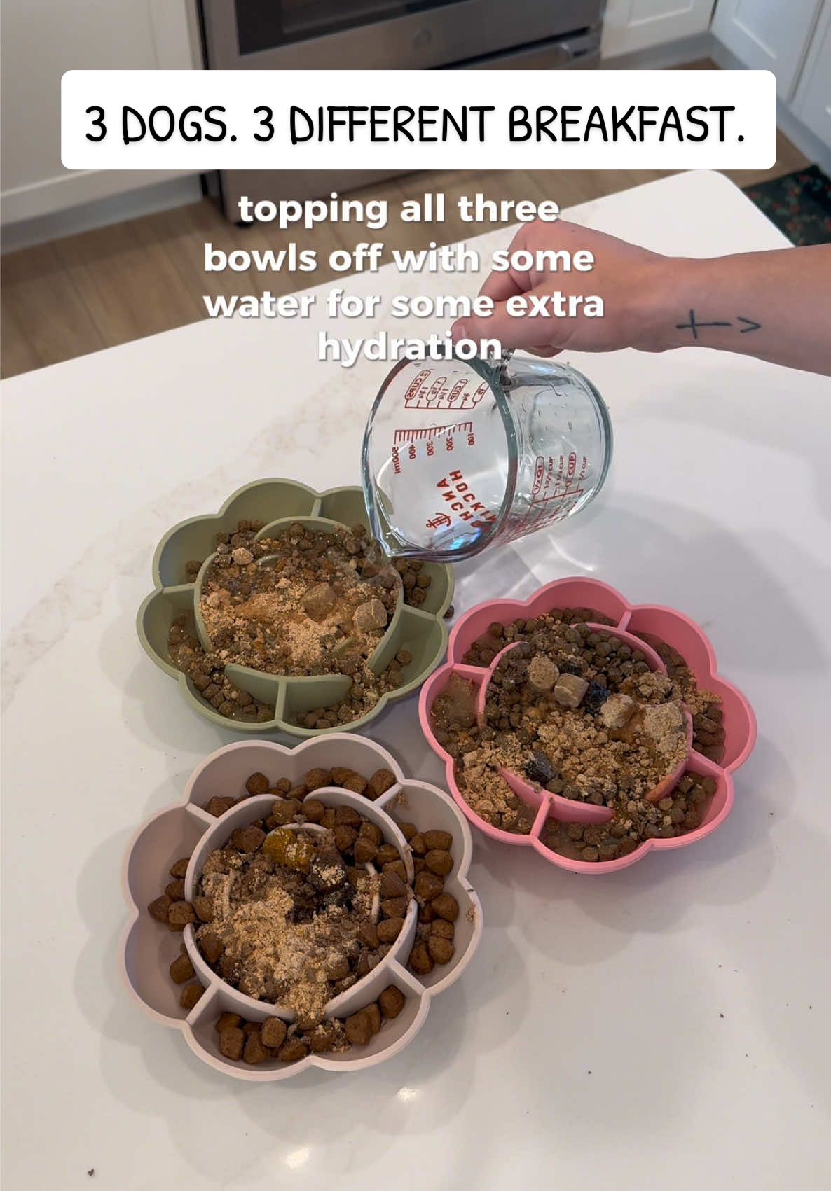 TikTok post by @tate_and_ellie for Native Pet. Caption reads: [...] back by popular demand! ☺️ @Native Pet....