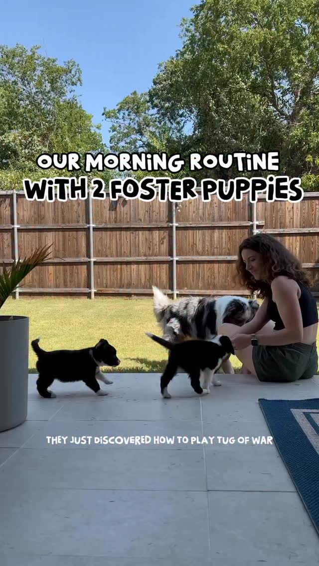 Instagram post by @stiltontheaussie for Earth Rated. Caption reads: Being a first-time foster mom to TWO six-week-old....