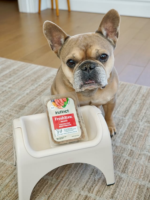Instagram post by @tungstenfrenchie for Instinct Pet Food. Caption reads: [...] to his Instinct FreshRaw Meals from....