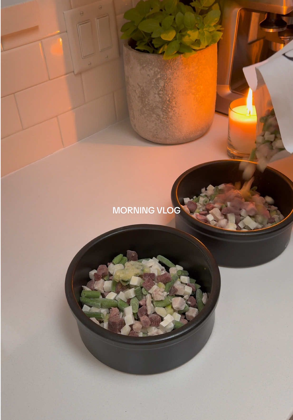 TikTok post by @katiebernardo_ for Maev. Caption reads: [...] are picky eaters, definitely look into....