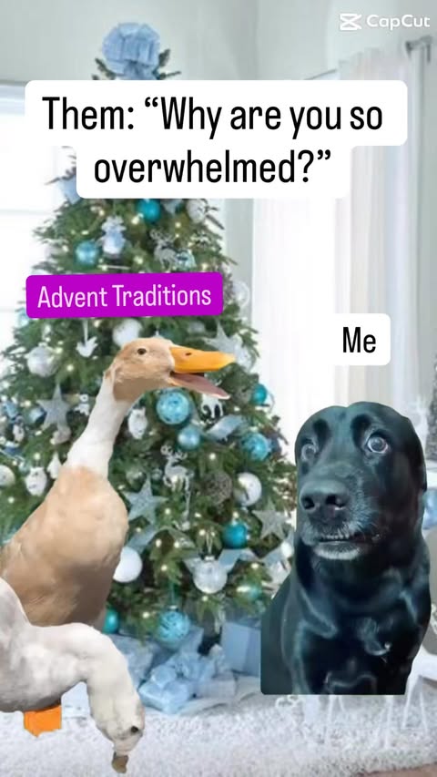 Instagram post by @saints.alive.pod for Hallow. Caption reads: [...] “Finding Fiat!” 

@saints.alive.pod and....