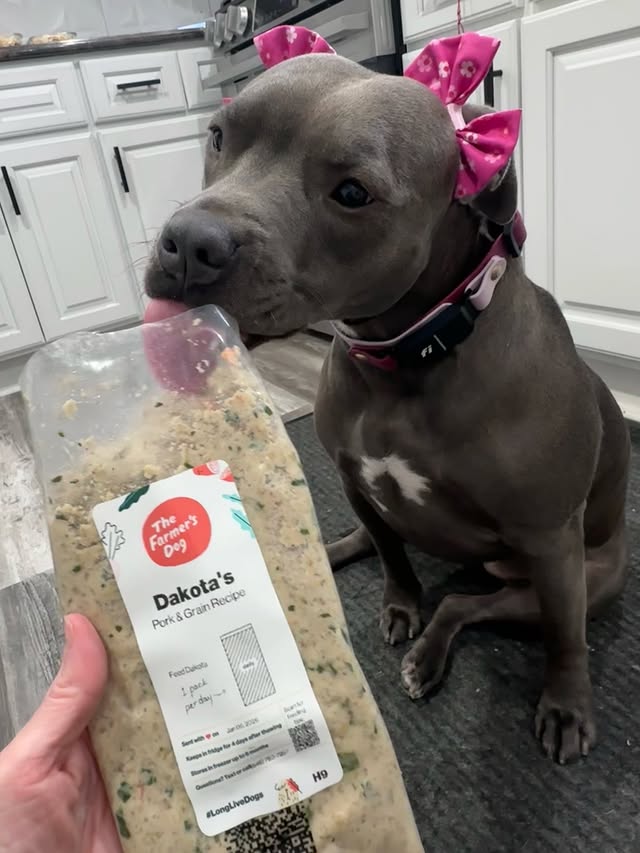 Instagram post by an influencer for Fi. Caption reads: [...] + @thefarmersdog + @fi.dogs = 🤌🏼 Dakota....
