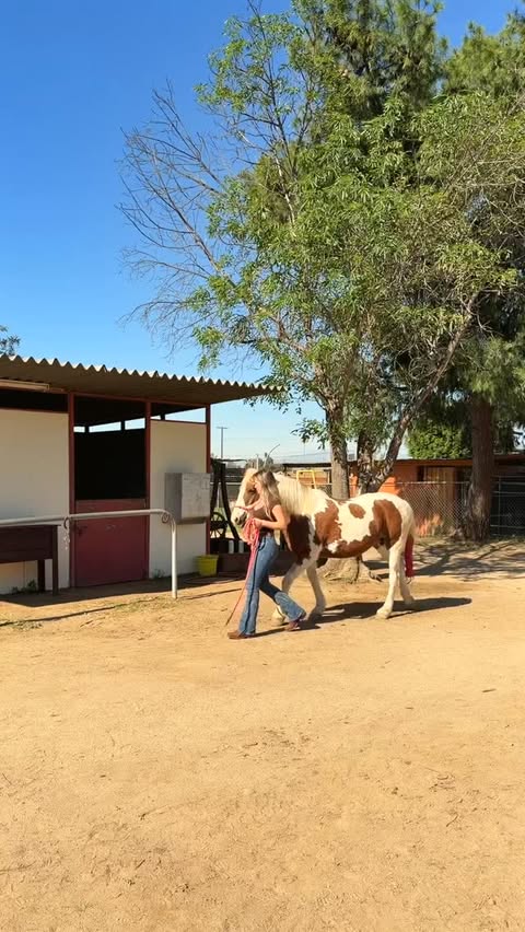 Instagram post by @nathalyycuevas for The Farmer's Dog. Caption reads: [...] your first box + free shipping from....