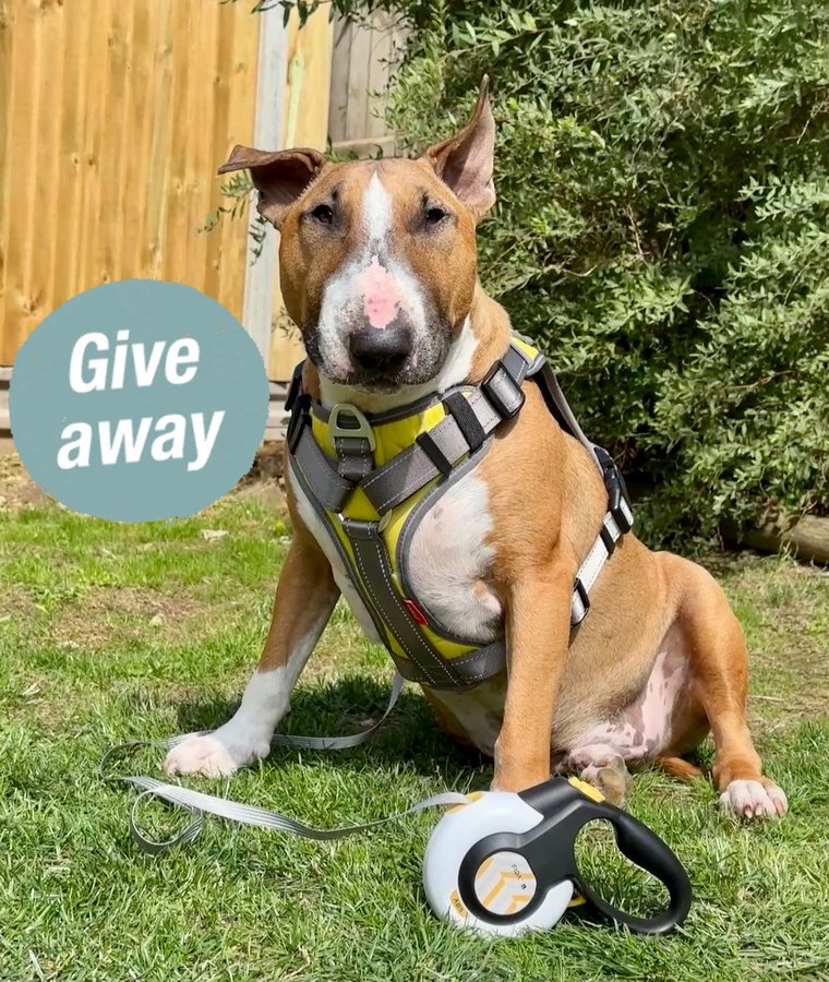 Instagram post by @barkley.ebt for FidaPet. Caption reads: [...] ALERT ‼️Closed 

In partnership with....