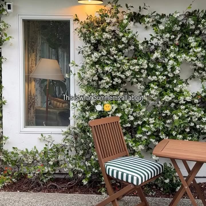 Instagram post by @rebeccaandgenevieve for The Company Store. Caption reads: Just a slow summer evening… 
the kind that reminds....