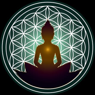 ZenVida Yoga & Fitness Studio