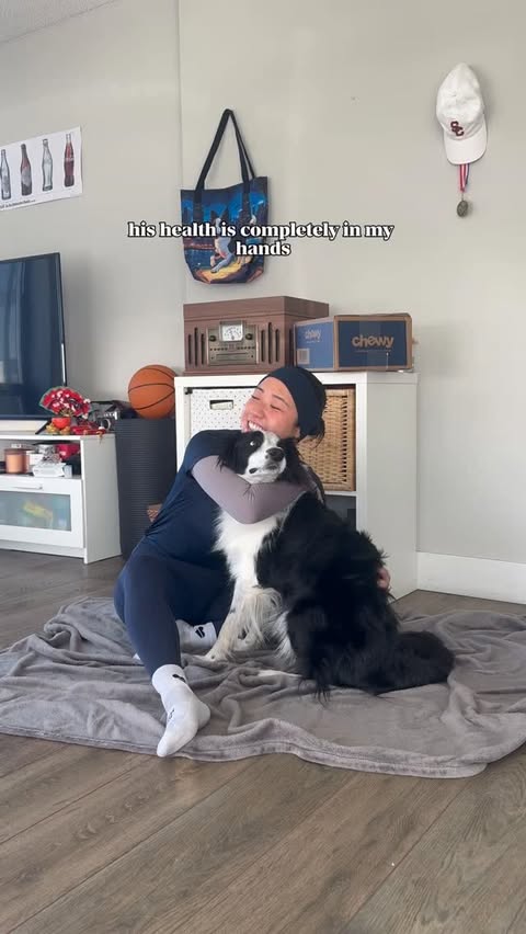 Instagram post by @cococollieruns for Chewy. Caption reads: [...] the world to me.💙 With the help of @chewy,....