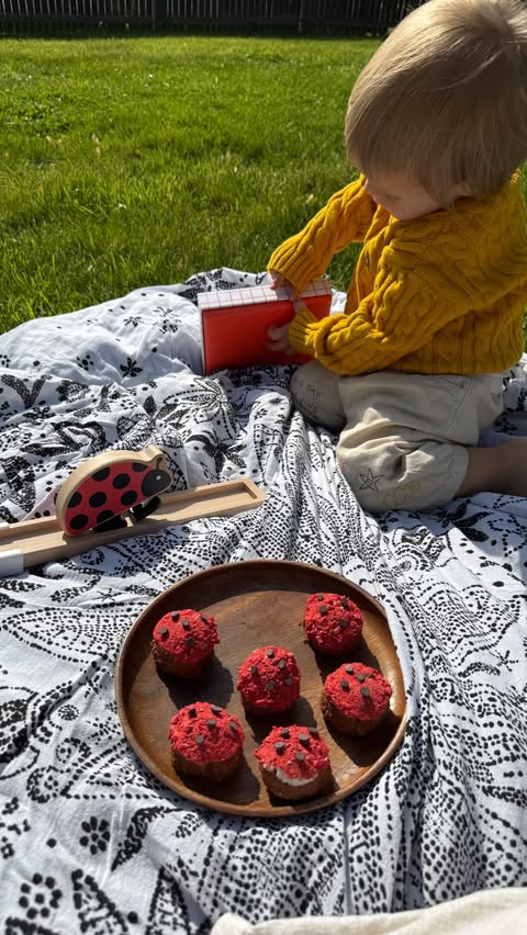 Instagram post by @wholesome_nat for Lovevery. Caption reads: [...] fave toy and a wholesome treat 🙌🏻🐞....