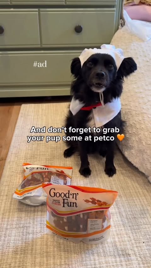 Instagram post by @vaderthebordercollie for Good 'n' Fun. Caption reads: [...] and he picked out his favorites from....