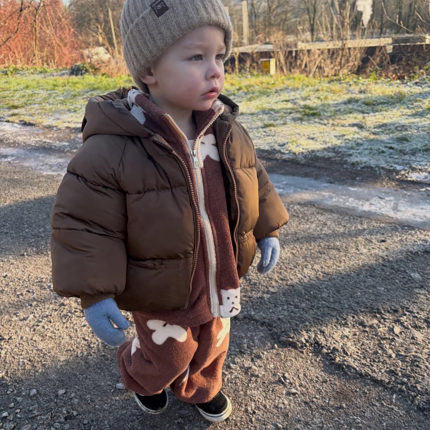 Instagram post by @wilfredandbro for MiniOlie. Caption reads: [...] morning walks in his cosy fit from....