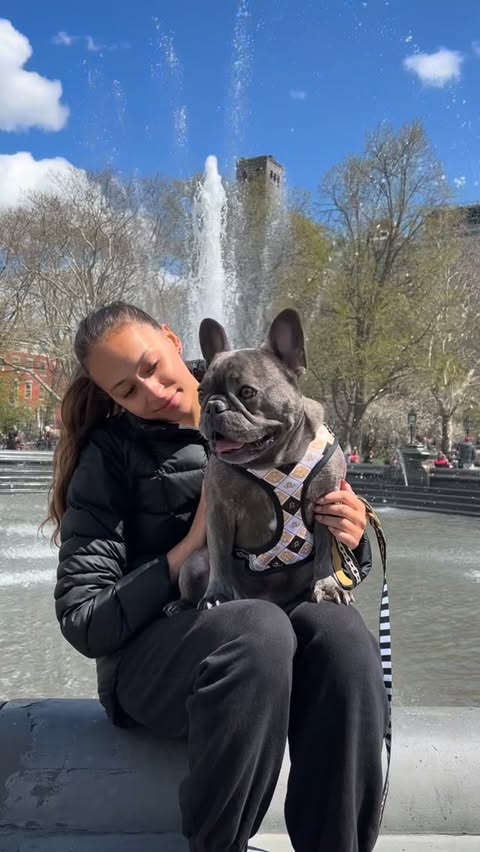 Instagram post by @winstonthefrenchiee_ for blue buffalo. Caption reads: #BlueBuffaloPartner I got Winston in my twenties,....