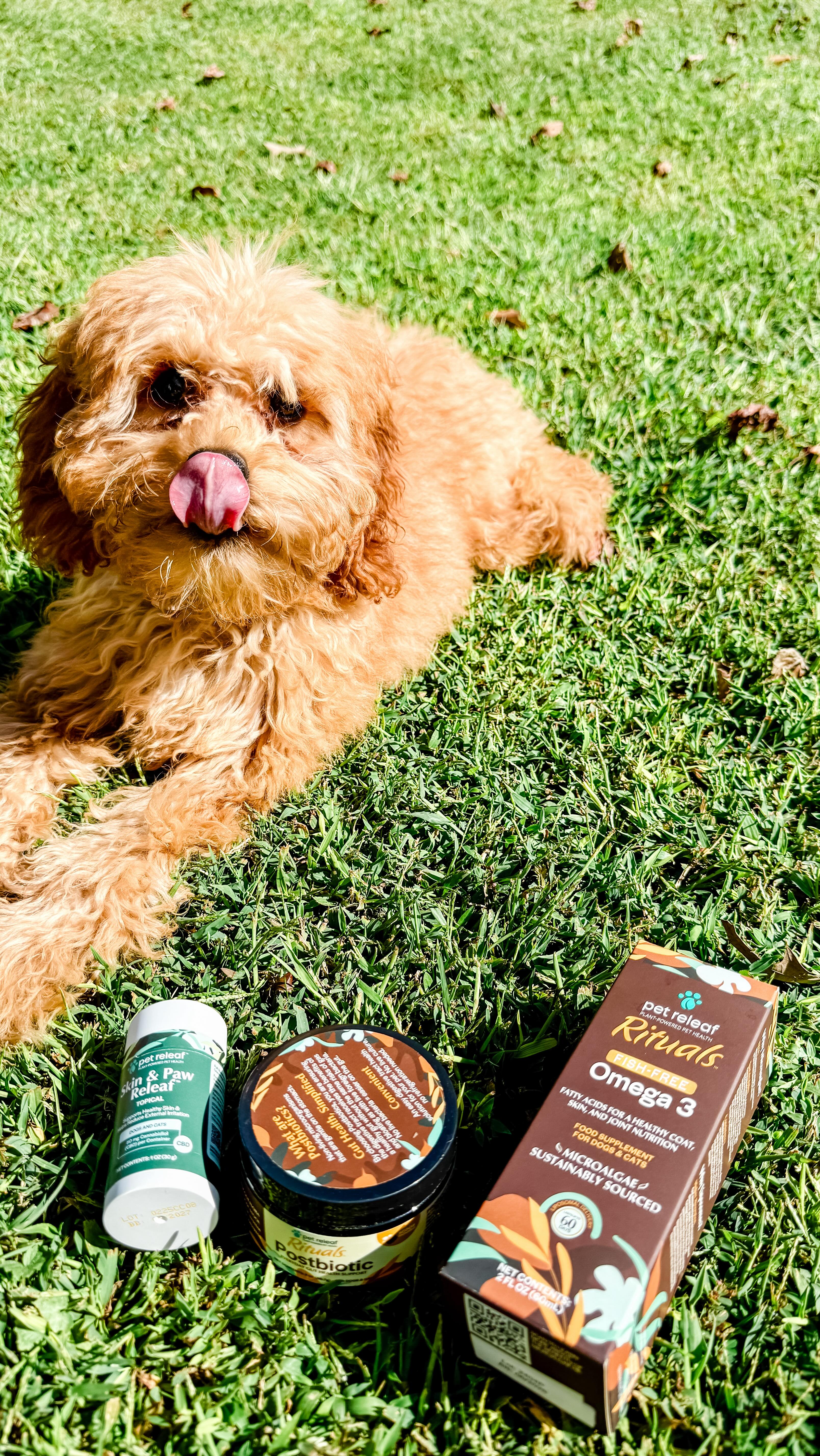 Instagram post by @madisyn_and_the3bears for Pet Releaf. Caption reads: [...] her thriving, we’ve been giving her....