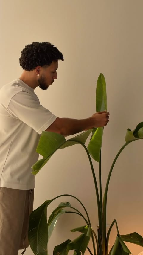 Instagram post by @xterrencebjr for Miracle-Gro. Caption reads: [...] part of my reset: a pump or two of....