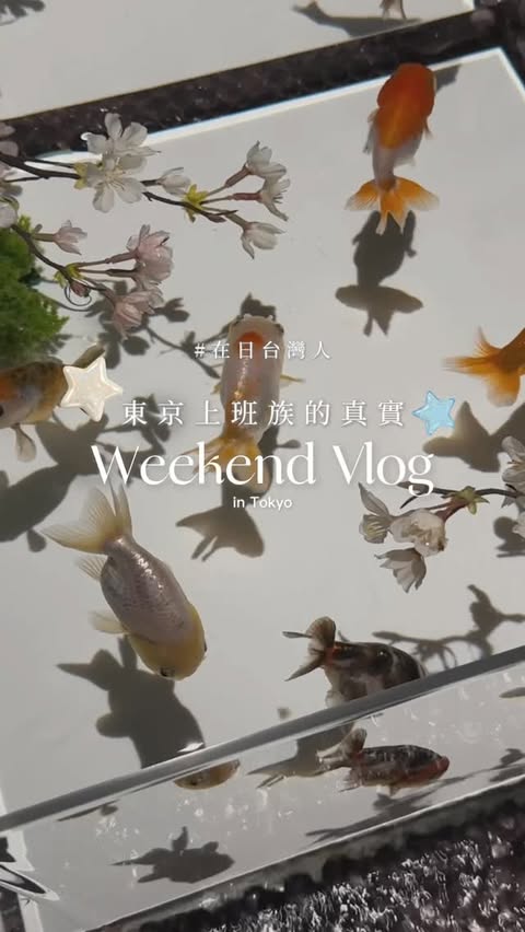Instagram post by @ching_shizuka for ARTAQUARIUM. Caption reads: [...] 才不用擔心撲空哦 （太晚到有機會號碼牌發完） 然後是一直在想去清單上的....