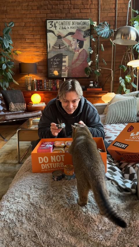 Instagram post by @romeoroams for Lily's Kitchen. Caption reads: [...] | Our cat’s favourite delivery from....