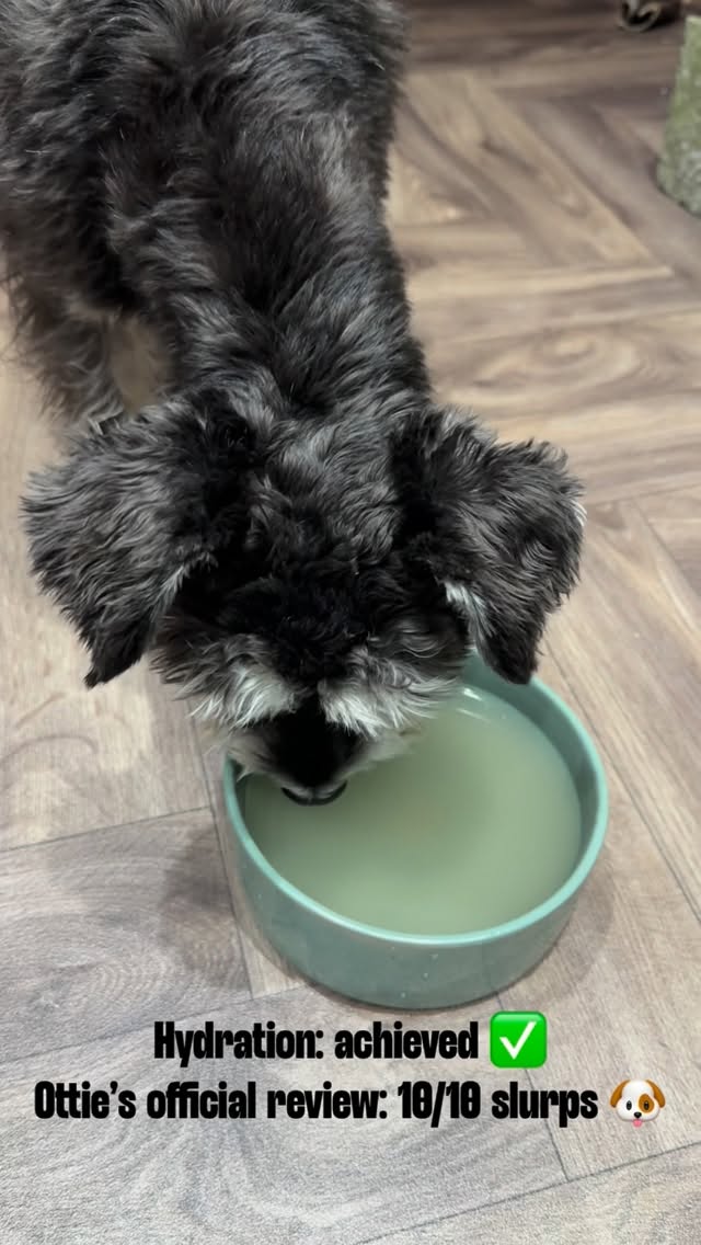 Instagram post by @olly_and_otties_outings for Pawer Water. Caption reads: [...] would drink again 😋 Gifted by @pawerwater —....