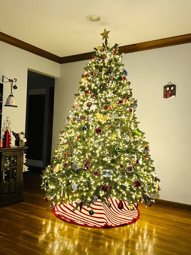 Instagram post by @daniellemanns27 for King of Christmas. Caption reads: I can’t believe we are TEN days before....