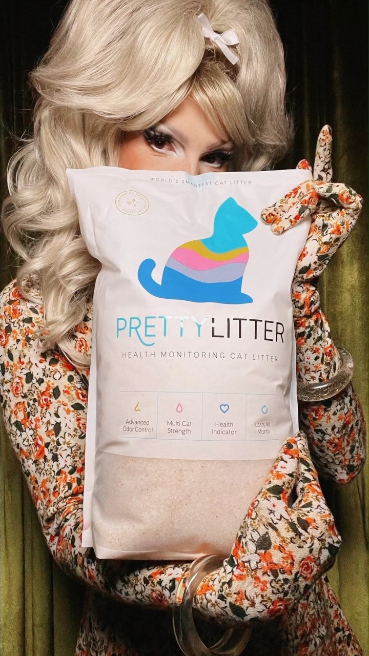Instagram post by @vivianvanderpuss for Prettylitter. Caption reads: Béchamel and Bijou mean the world to me so....