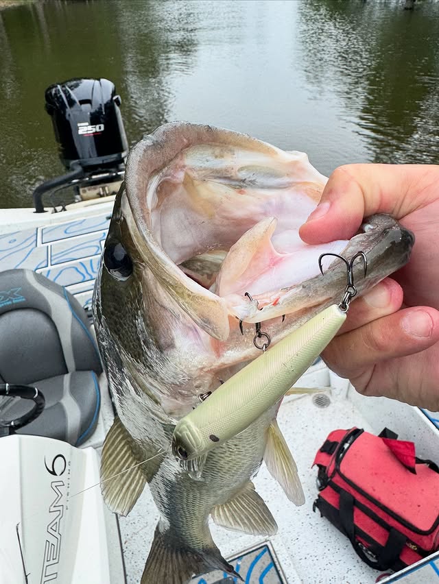 Instagram post by @cruzelouisianaoutdoors for 6th Sense Fishing. Caption reads: This pretty girl ERUPTED on my @6thsensefishing....