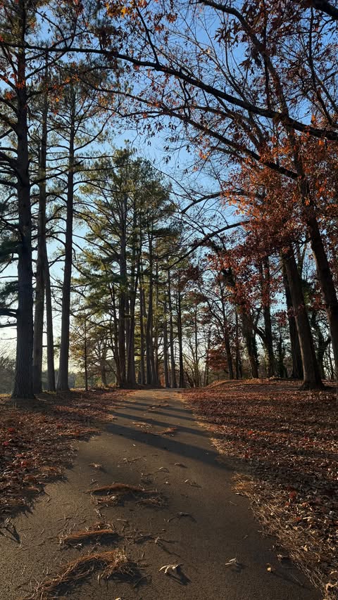 Instagram post by @achendricks for Thayers. Caption reads: Evening vlog taking advantage of my nyc rent w/....