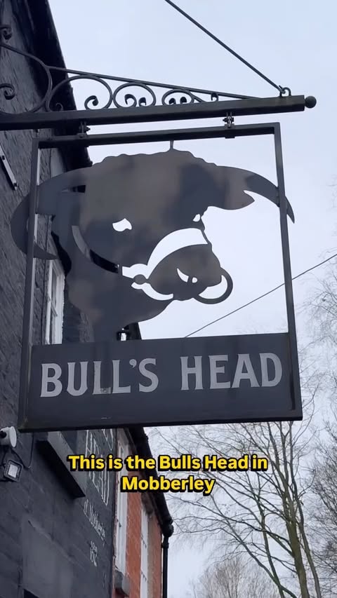 Instagram post by @mattyfwhite for Lucky Saint. Caption reads: [...] doesn’t mean you have to stay home.....