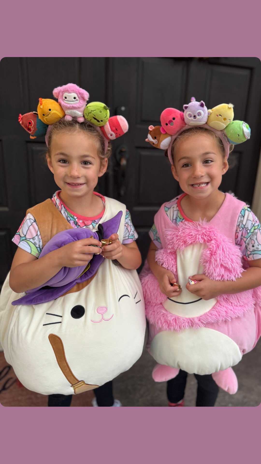 Instagram post by @thefoxsaystwins for Squishmallows. Caption reads: Four years later, same house, same joy—just two....