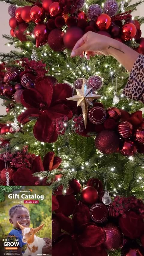 Instagram post by @thebreebush for World Vision. Caption reads: [...] Sweet Girl, you know I partner with....