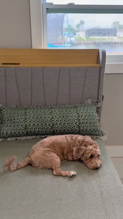 Instagram post by @inspiredbycisil for Garvee. Caption reads: [...] into a cozy little sanctuary with my new....