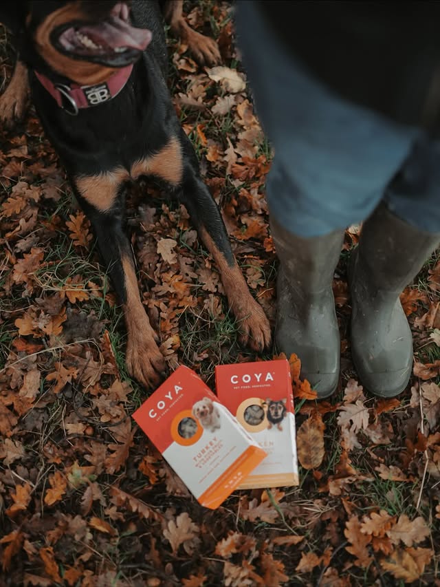Instagram post by @whiskeyalsatian for COYA Pet. Caption reads: [...] I rather the dogs have a warm meal. @coyapet....
